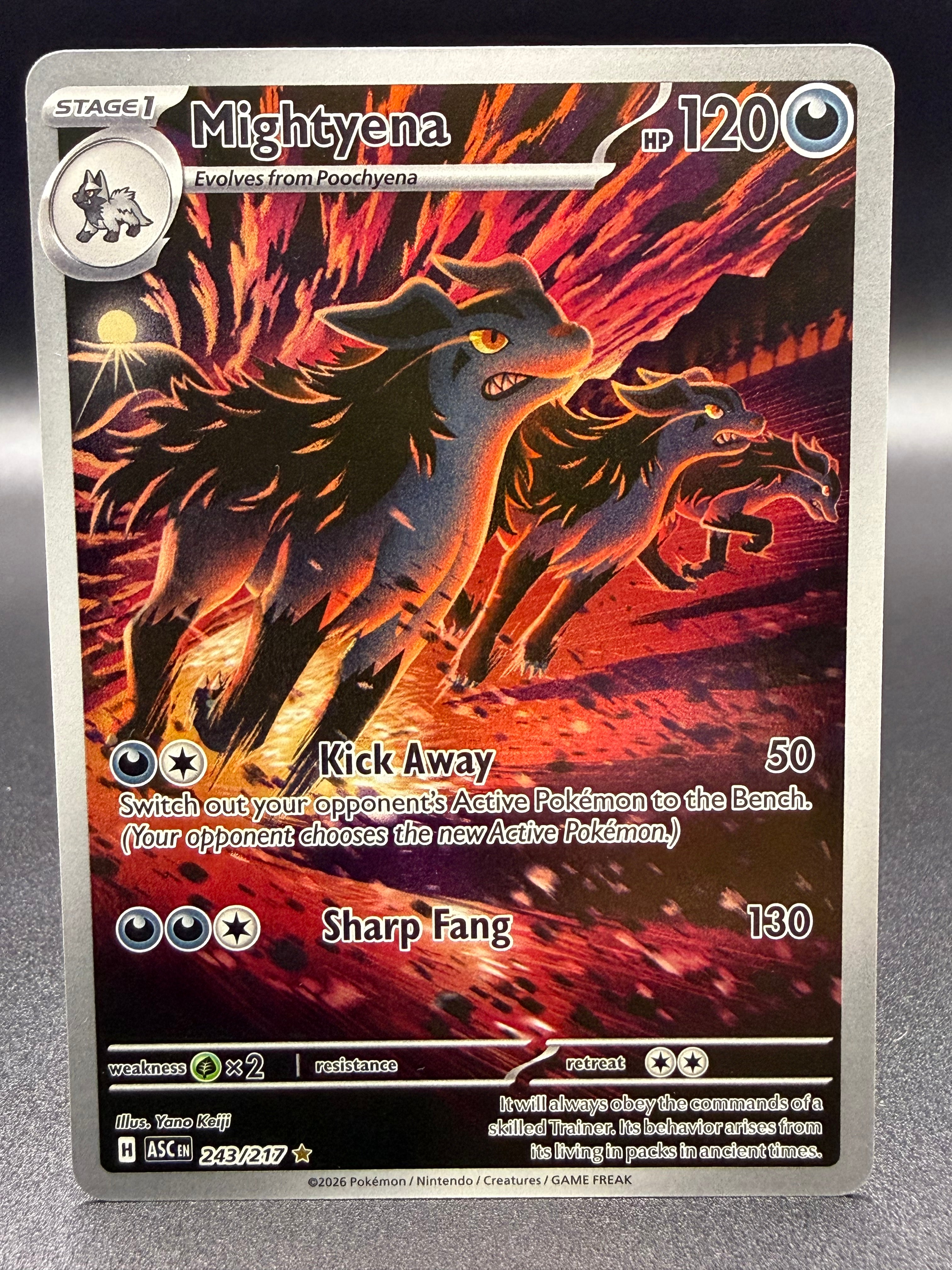 Mightyena 243/217 - Ascended Heroes - Near Mint Pokémon Card Single